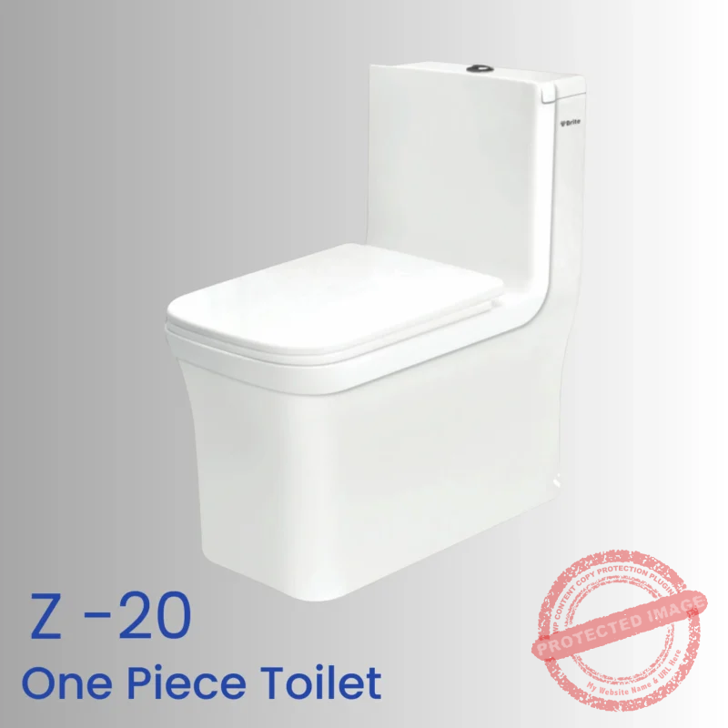 Z 20 One-Piece Bathroom fixture