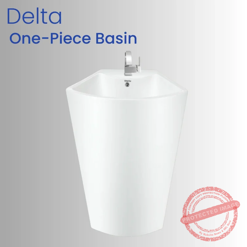 Delta One-Piece Basin