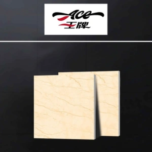 Elegant 600x600mm Marble-Look Ceramic Tile